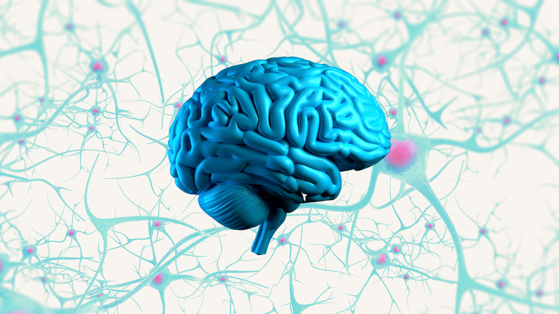 Brain and Neurons